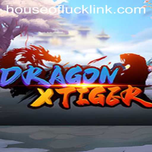 Explore the Thrilling World of DragonXTiger